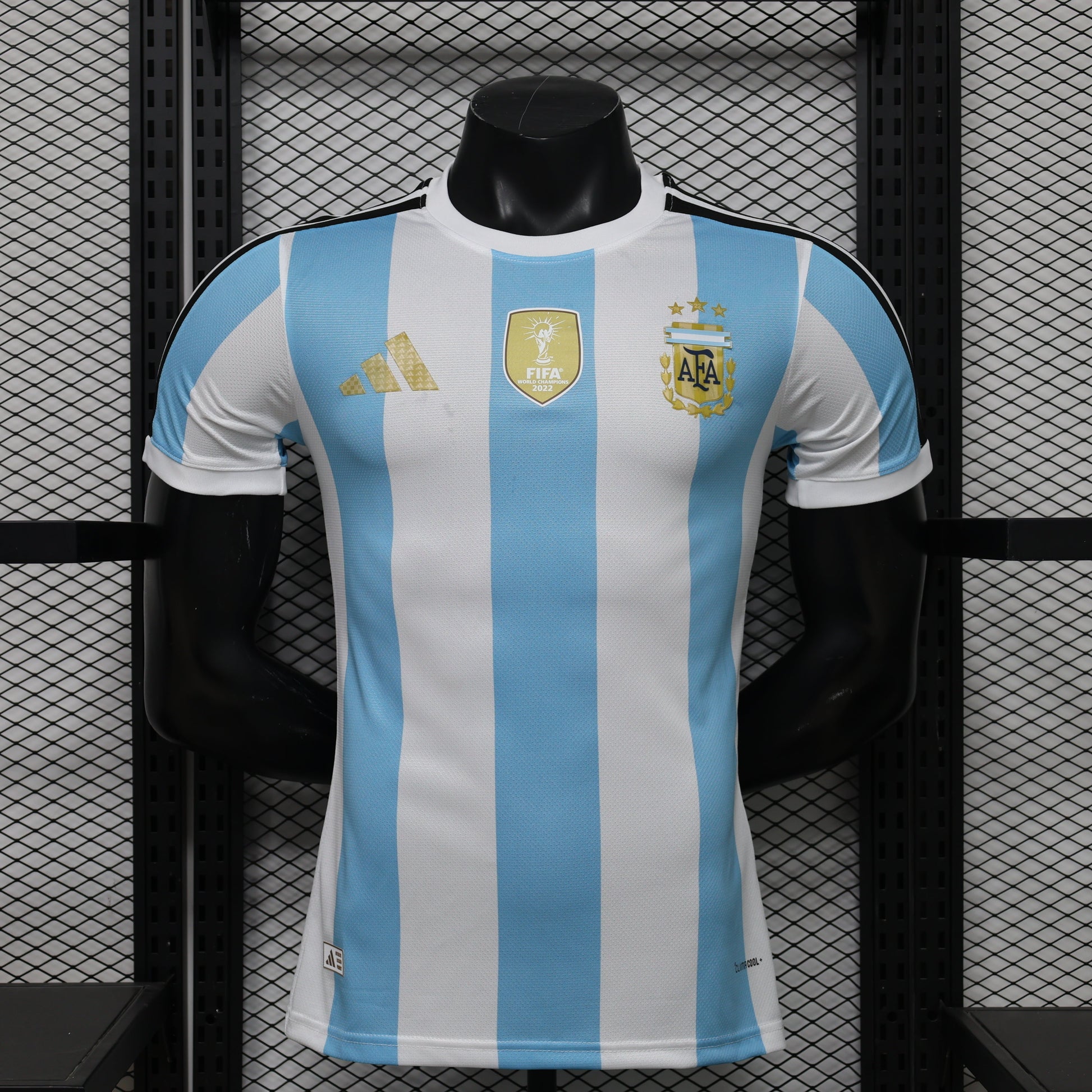 Trikot Argentinien Concept 2026