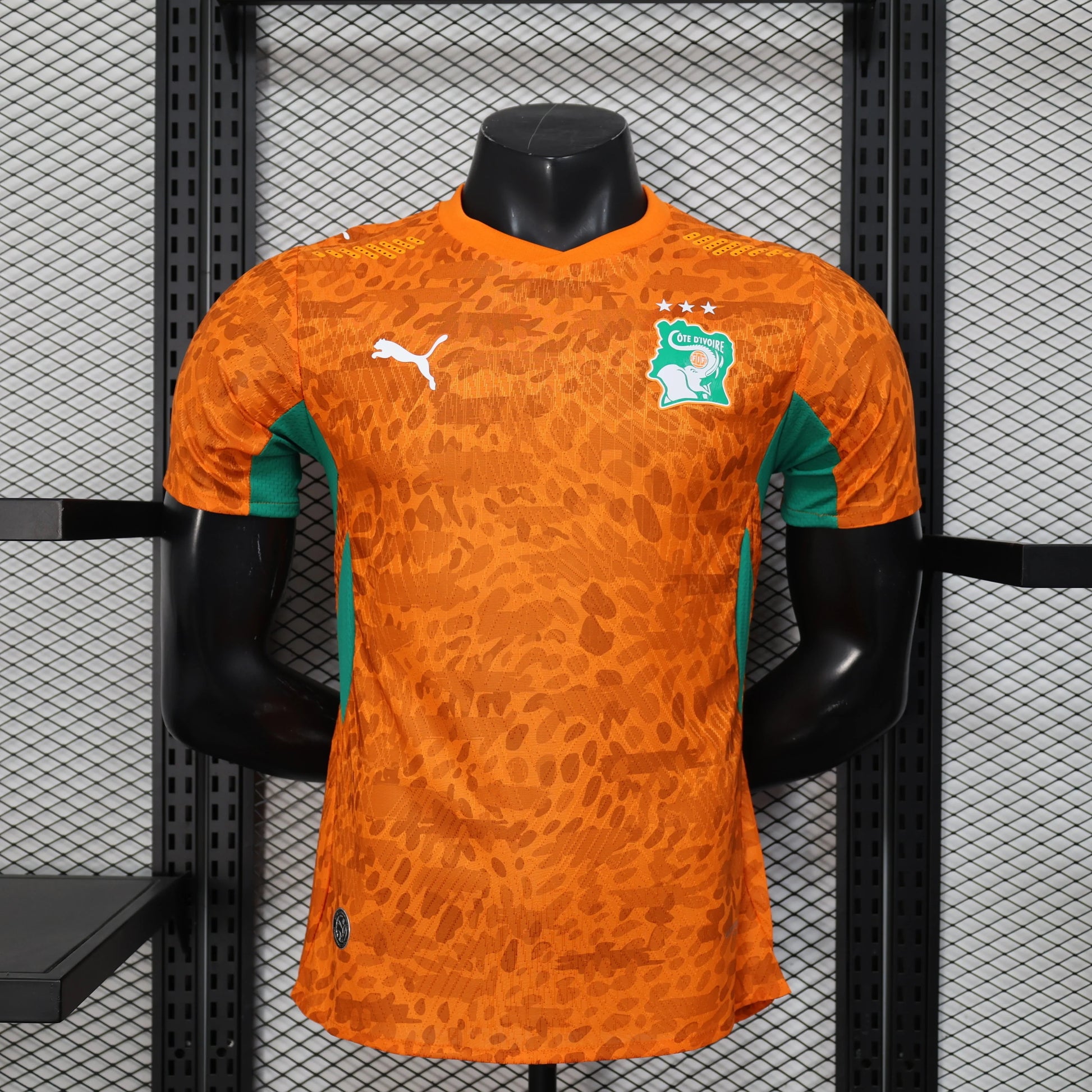 Trikot Elfenbeinküste Weltmeisterschaft 2026