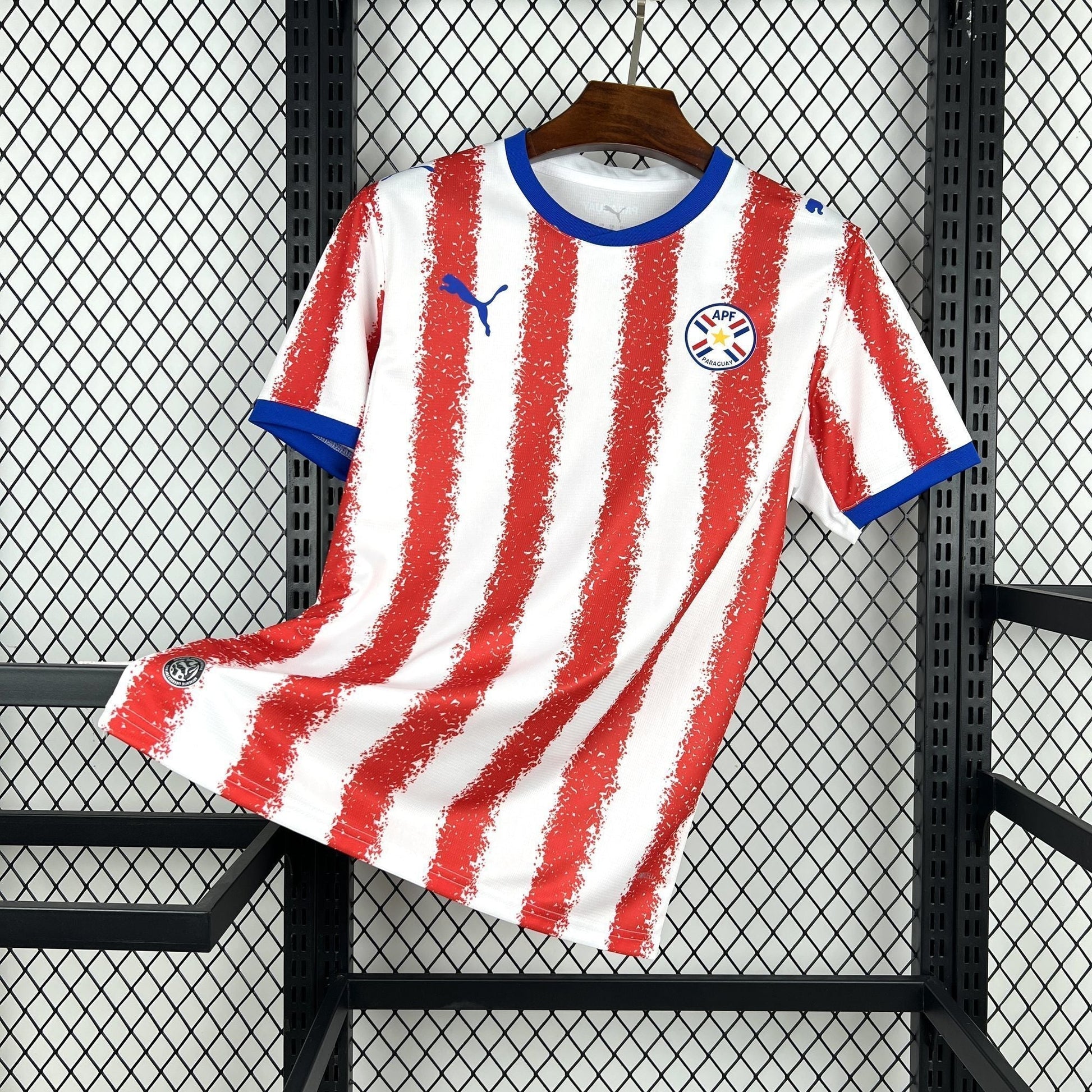 Trikot Paraguay Weltmeisterschaft 2026