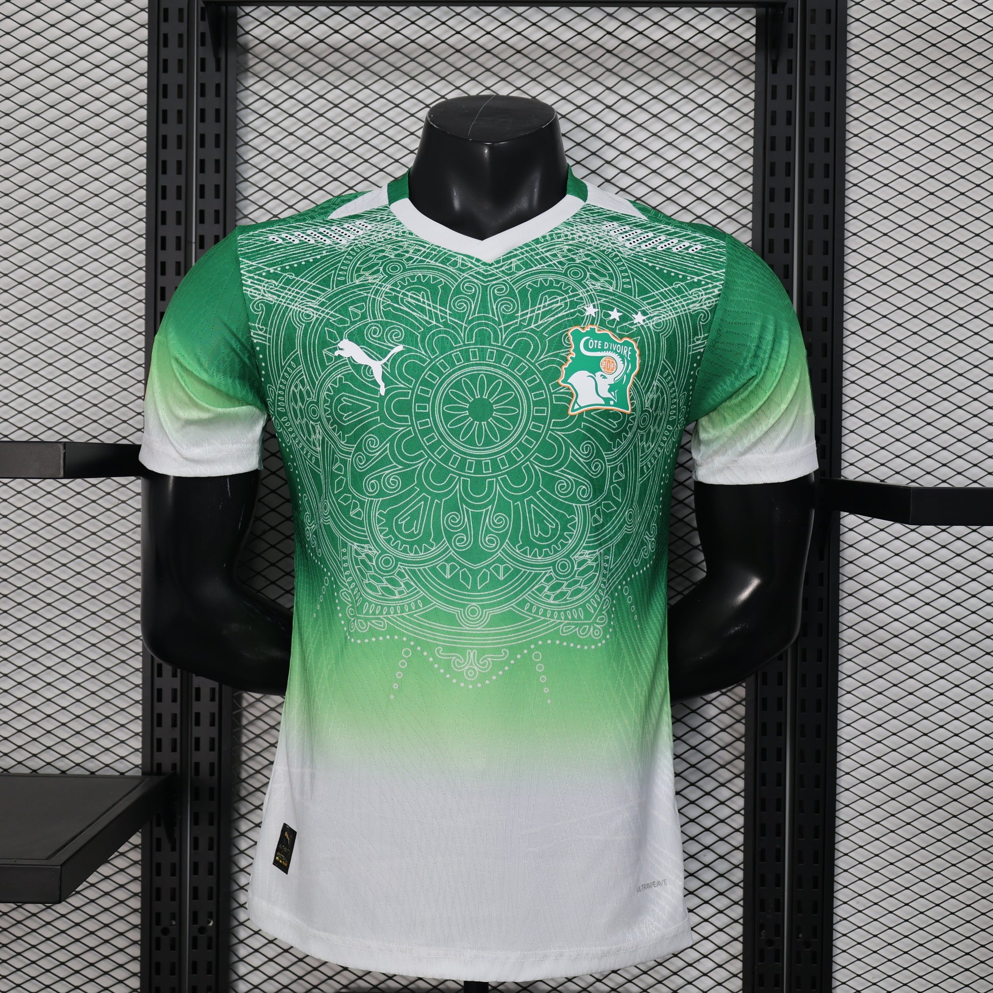 Trikot Côte d'ivoire Concept 2026